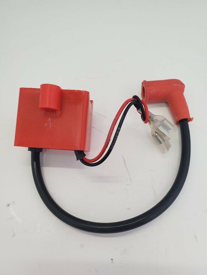 80cc 100cc Upgraded CDI, Magneto and Magnet for Motorized Bicycle